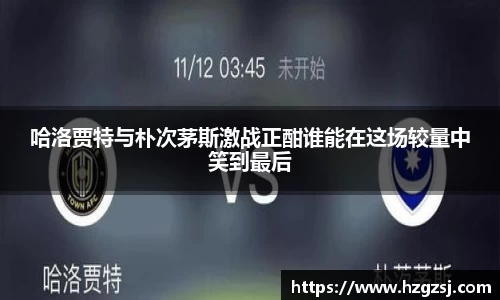 米乐电竞官网
